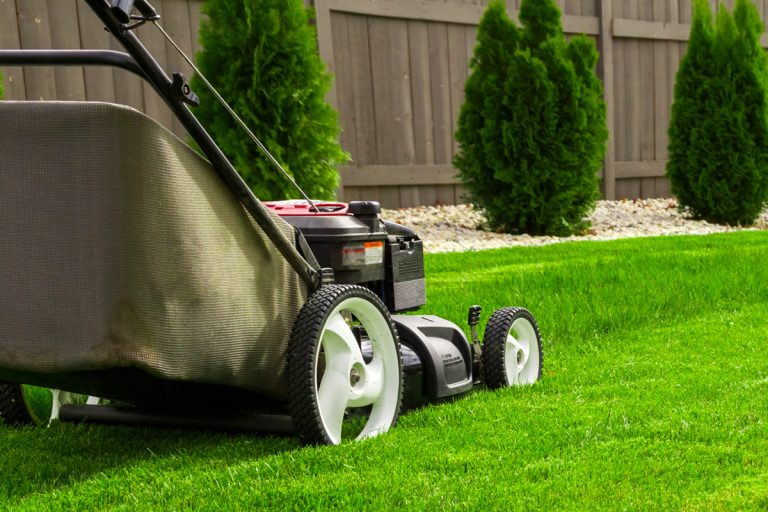 Lawn mower on green lawn